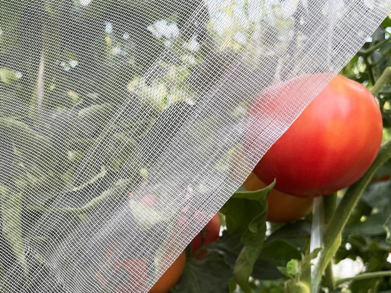 greenhouse insect net