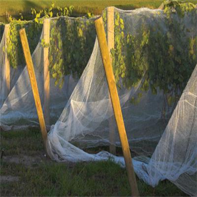 anti insect netting