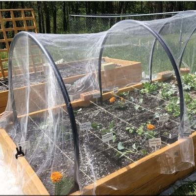 agriculture  anti-insect netting