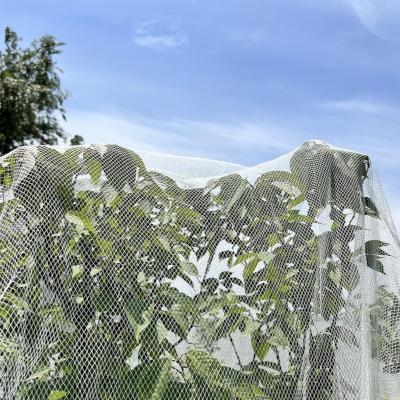 Top Quality Customized Various Agricultural Anti Bird Netting